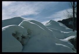 Schneebilder