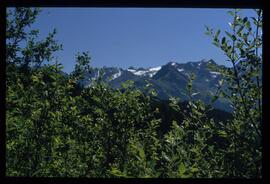 Oetztaler Alpen