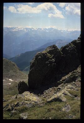 Landschaft im Sommer