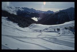 Landschaft im Winter