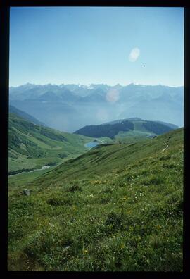 Landschaft im Sommer