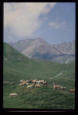 Landschaftsaufnahme