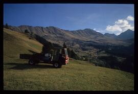 Landschaft im Sommer