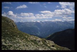 Landschaft im Sommer