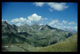 Landschaft im Sommer