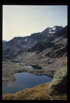 Landschaft im Sommer