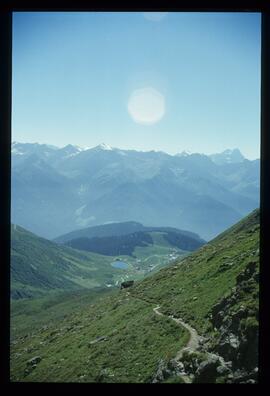 Landschaft im Sommer