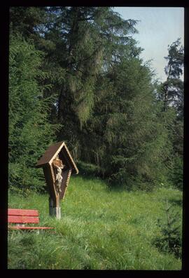 Landschaft im Sommer