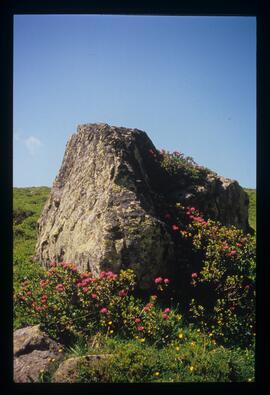 Bergwandern