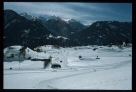 Zweige mit Schnee und Raureif