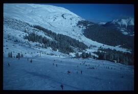 Landschaft im Winter