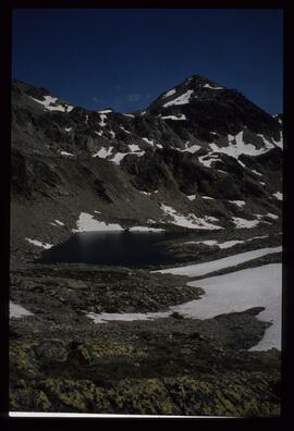 Landschaft im Sommer