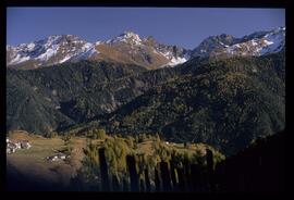 Herbst