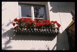 Blumenschmuck