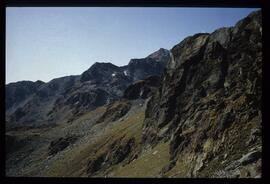 Landschaft im Sommer