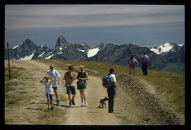 Gäste im Gebirge