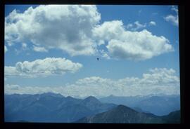 Landschaft im Sommer