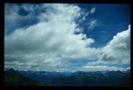 Landschaft im Sommer