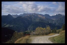 Landschaft im Sommer