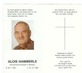 Alois Hammerle 2