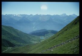 Landschaft im Sommer