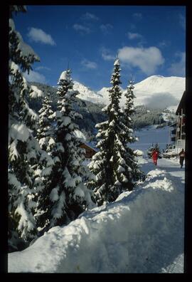 Landschaft im Winter