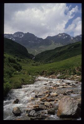 Landschaft im Sommer