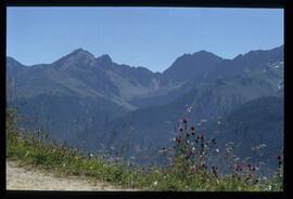 Oetztaler Alpen