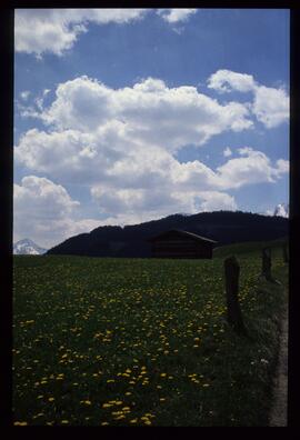 Landschaftsaufnahme