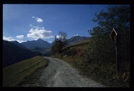 Landschaft im Sommer