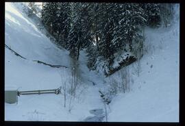 Zweige mit Schnee und Raureif