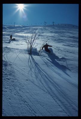 Landschaft im Winter