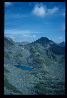 Landschaft im Sommer