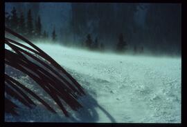 Schneebilder