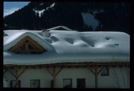 Schneebilder