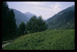 Landschaftsaufnahme