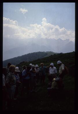 Landschaft im Sommer