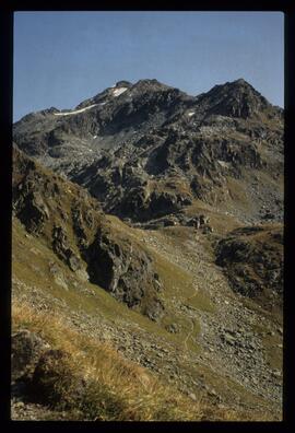 Landschaft im Sommer