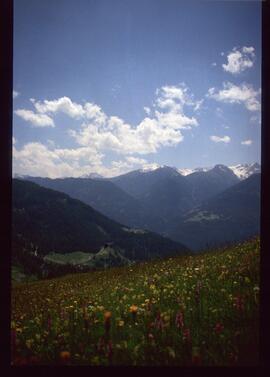 Landschaft, Wandern