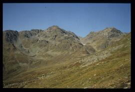 Landschaft im Sommer