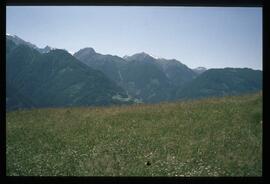 Sommer