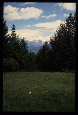 Landschaft im Sommer