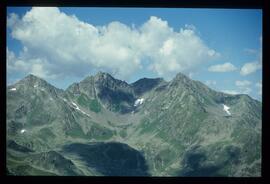 Landschaft im Sommer