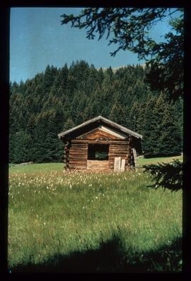 Landschaft im Sommer