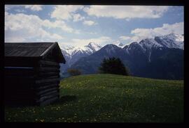 Landschaft im Sommer