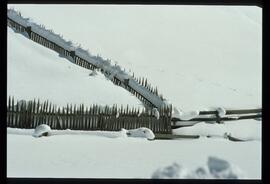 Zweige mit Schnee und Raureif