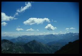 Landschaft im Sommer