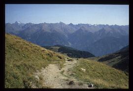 Landschaft im Sommer