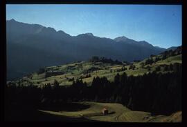 Landschaft im Sommer