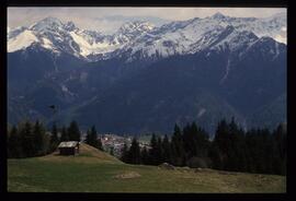 Landschaft im Sommer